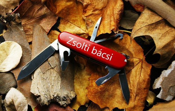 Az aranyos Zsolti bácsi minden pénzt megér - Dési János jegyzete