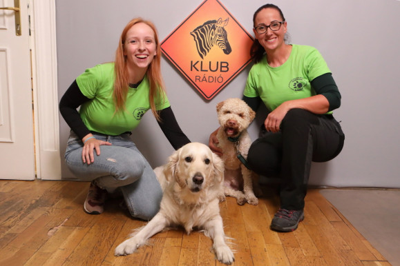 Hogyan tanított meg a kutyám újra élni? - Segítő kutyák a Klubrádióban