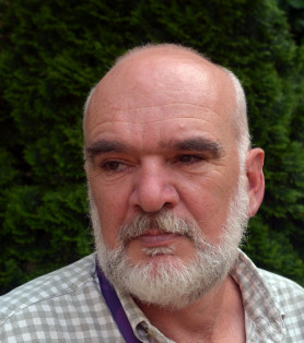 Vida Gábor: A maradásról