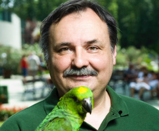 Magyar Péter bocsánatkérést követel Orbántól a nyíregyházi állatpark igazgatója elleni fideszes támadás miatt 