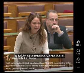 ''Azért, mert ez egy javítóintézet, meg lehet erőszakolni 14-15 éves fiúkat, földön lehet őket rugdosni?''