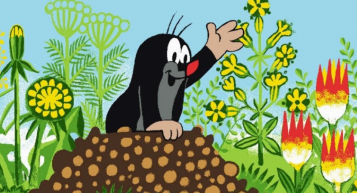 Nagyot szólt az egerszegi diákcsíny: negyven ember lett rosszul tőle