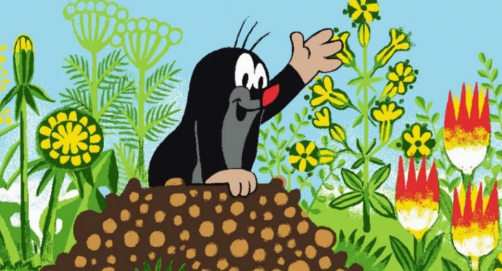 Nagyot szólt az egerszegi diákcsíny: negyven ember lett rosszul tőle