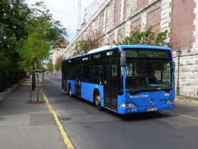 A várbusz sofőrje mentette meg az utasa életét