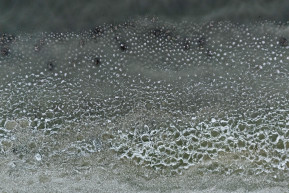 Teljesen befagyott a Balaton és a Velencei-tó