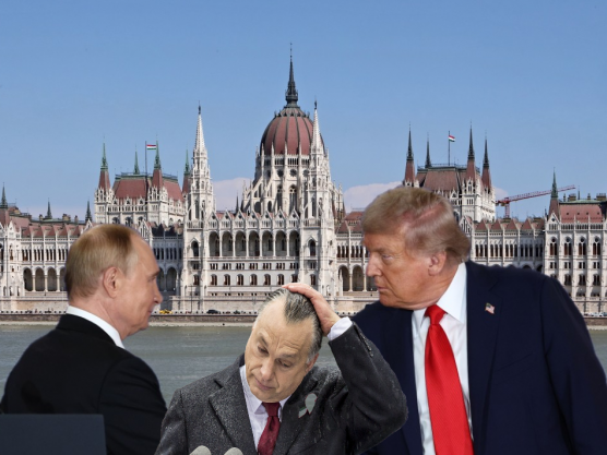 Trump barátsága - Selmeci János jegyzete