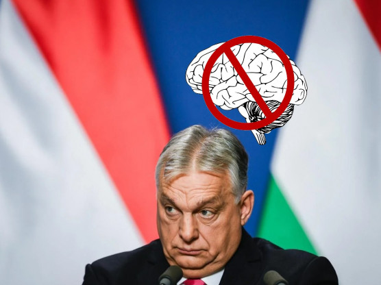 Sem tudás, sem intelligencia - Rózsa Péter jegyzete