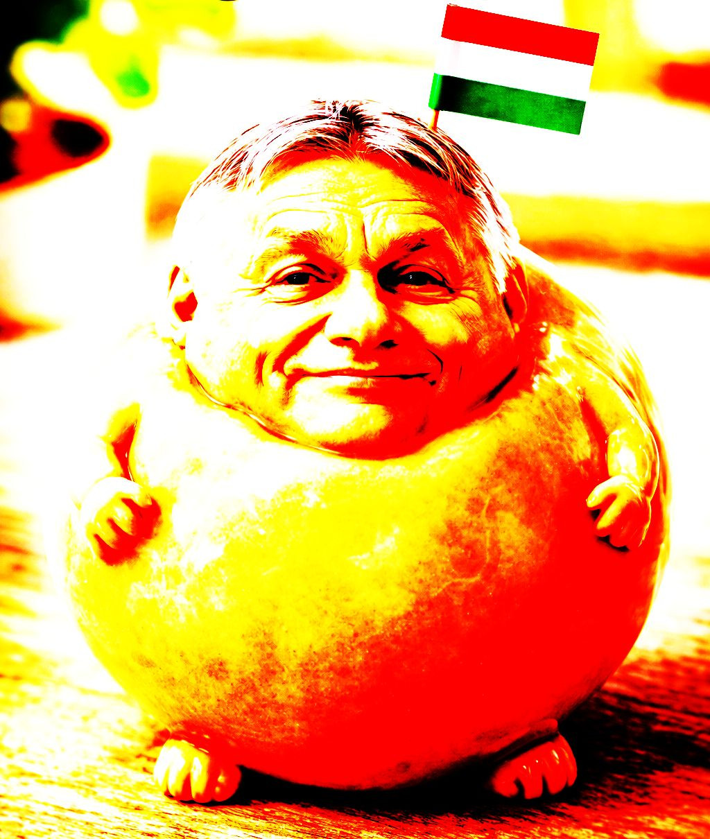 Még gombócból is sok – Rózsa Péter jegyzete