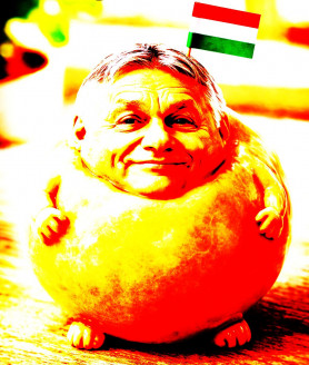 Még gombócból is sok – Rózsa Péter jegyzete