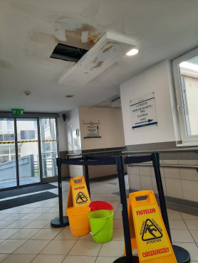 Mennyezet – Józsa Márta jegyzete