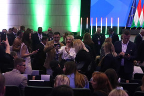 Intellektuális génbankrendszer - Józsa Márta jegyzete