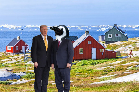 Békesarc - Józsa Márta jegyzete