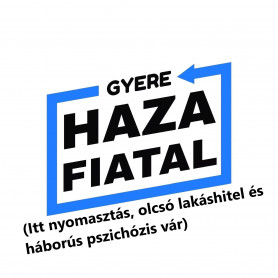 Menj haza fiatal! – Selmeci János jegyzete