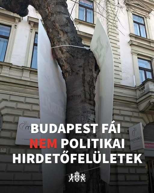 Karácsonyék leszedetik a fákról a választási plakátokat