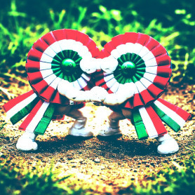 Erőpróba – Kárpáti Iván jegyzete