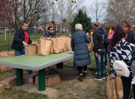 A fideszes Csöbör Katalin krumplit oszt, Koncz Zsófia körzetében húsvéti csomagot adnak