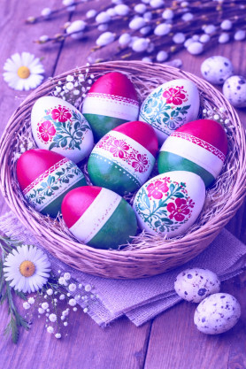 Az indokolatlan nyugalom indoklása – Józsa Márta jegyzete