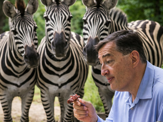 Mészáros, Andika és a nyolcas kulcs – Dési János jegyzete