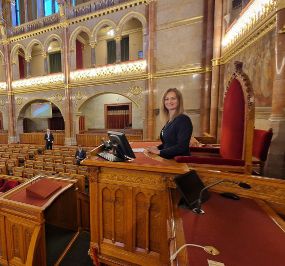 Ókovács Szilveszter saját költségén készítettné el a házelnöki szék másolatát