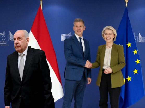Egy kritika, egy dicséret és Sulyok Tamás méltósága - Selmeci János jegyzete