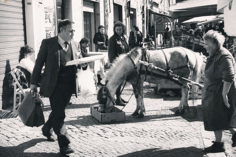 Anno Róma