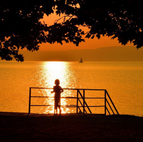 A Balatonnál betonba öntik természeti értékeinket - LMP