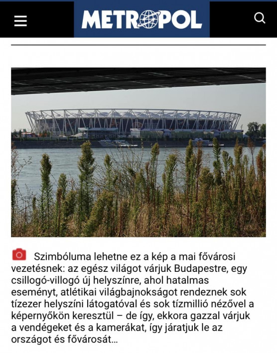 Karácsonyt akarta támadni a gyomokkal a kormánypárti lap, de véletlenül állami területet mutatott be elrettentő példaként