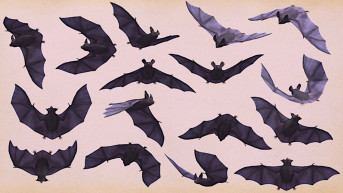 Tudsz egy jó megoldást szúnyogok ellen? De ne véreset!