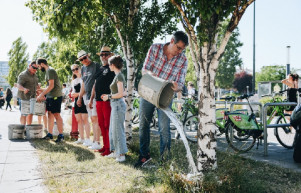 Öntözési kampányt indítottak Budapest fiatal fáiért