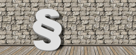 Perel a TASZ a Pegasus miatt Strasbourgban