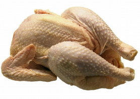 Fagyasztott csirkével lövik a repülőgépeket