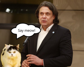 Magyar Deutschról: Ha 2009-ben egy macskát beültetnek az Európai Parlamentbe, 2025-re már ő is megtanult volna angolul