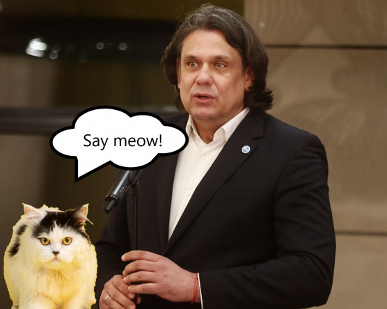 Magyar Deutschról: Ha 2009-ben egy macskát beültetnek az Európai Parlamentbe, 2025-re már ő is megtanult volna angolul