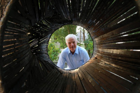 4 rész művészet vegyítve 1 rész tudománnyal az e heti Klubdélelőttben