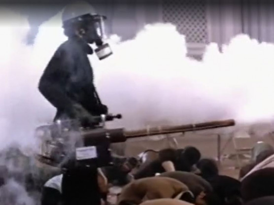 Könnygáz és tejszínhab – Józsa Márta jegyzete