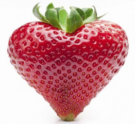 A Médiatanács elnémíthatja az ELTE-s Első Pesti Egyetemi Rádiót