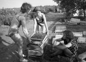 Építőtáborok: munka vagy buli?