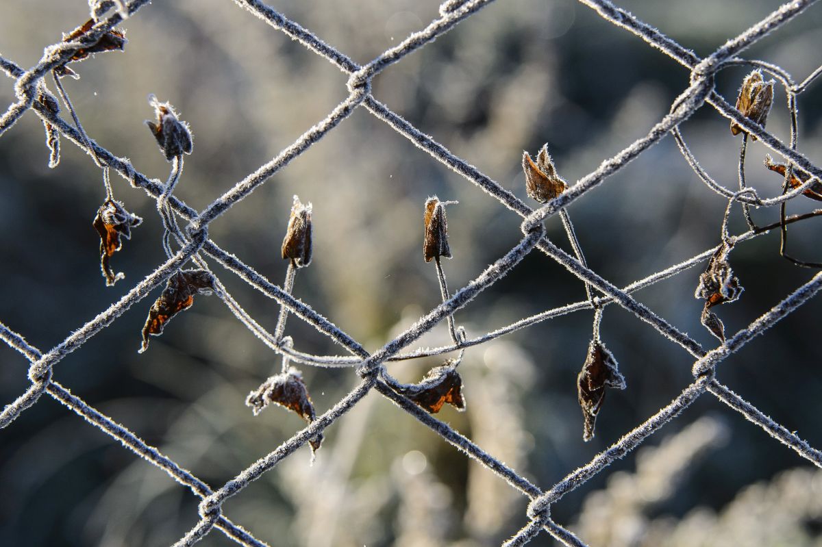 Elkezdődött a fagyszezon