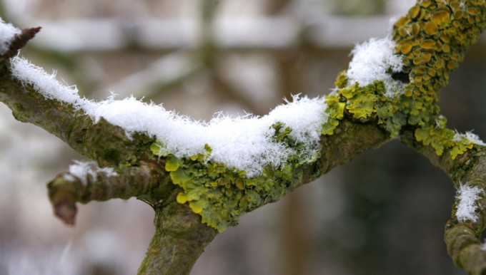 Ki gondolta volna? Mínusz 5,9 fok volt a Bükkben