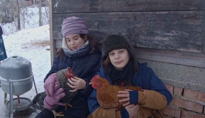 Farm-alapú nevelés és túlhasznált fájdalomcsillapítók