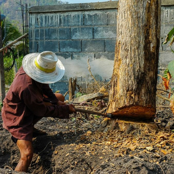 Pont úgy működik, mint a bezzeg intézmény, mégis szétvernék