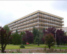 Két nő is majdnem belehalt a szülésbe Kistarcsán ugyanazon a napon