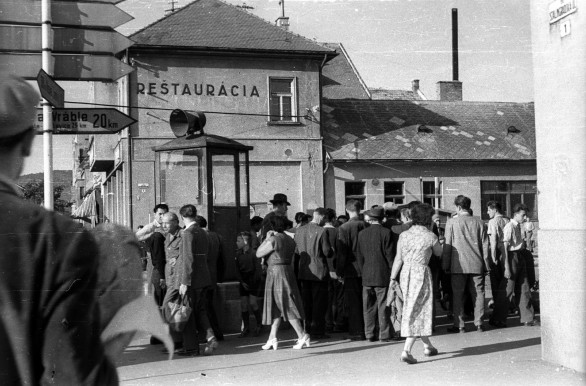 Kardos: A demokratúra a baloldal marhasága