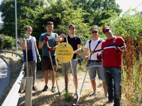 Fideszes természetvédelem: elpusztították a madaraknak, rovaroknak meghagyott területet
