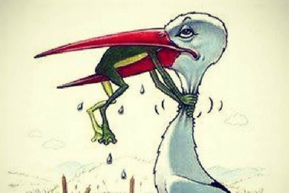 Megette a béka a gólyát, de még hogy!