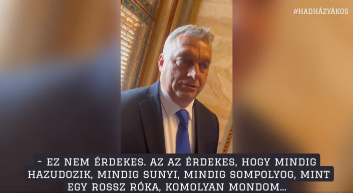 Kardos András: Szánalmas és nevetséges