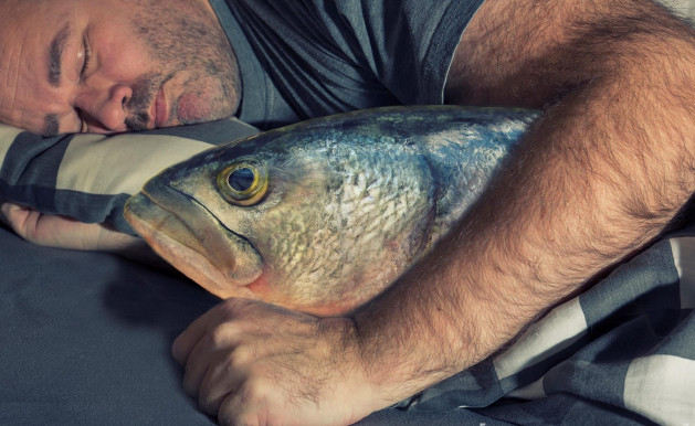 Luca Brasi már a halakkal alszik – Józsa Márta jegyzete