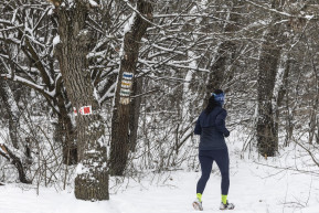 Jön a harmadik havazási hullám, a Bakonyban hóátfúvásokkal kell számolni