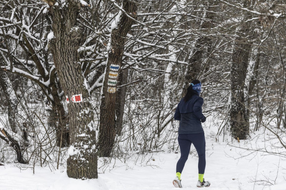Jön a harmadik havazási hullám, a Bakonyban hóátfúvásokkal kell számolni