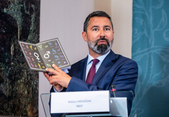 A fideszes képviselő bejelentést tett a főispánnál, mert lefóliázatlan könyvet talált a reptéren